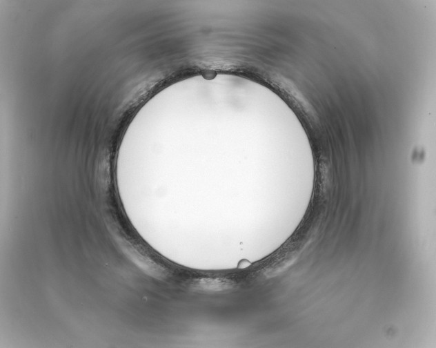 X0000090420541200708101944