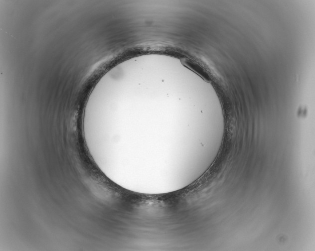 X0000090420543200708101944