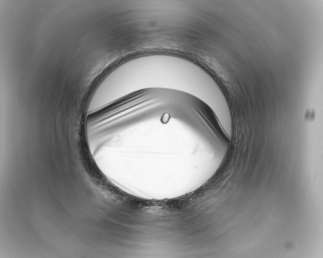 X0000090420544200708101944