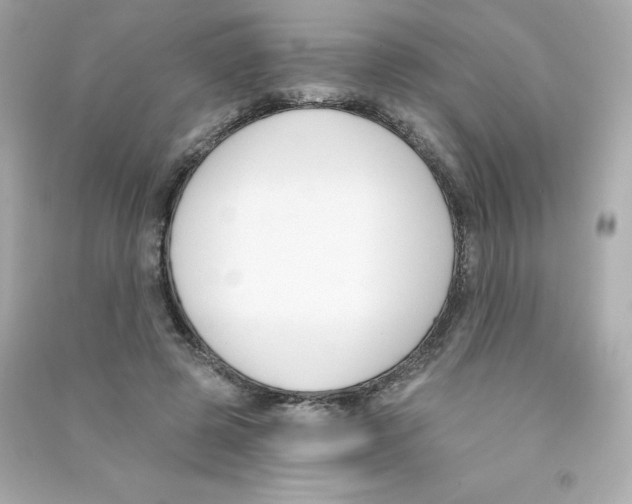 X0000090420545200708101944
