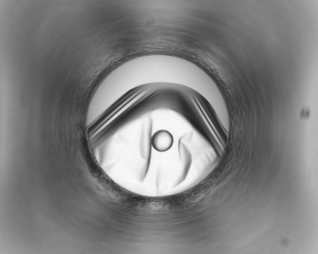 X0000090420546200708101944