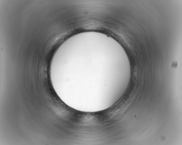 X0000090420547200708101944