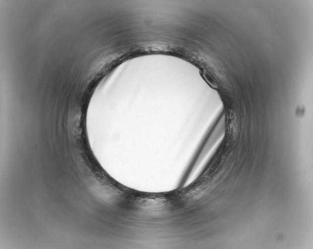X0000090420548200708101944