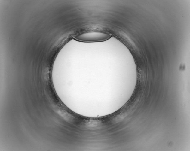 X0000090420549200708101944