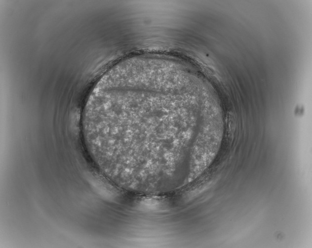 X0000090420550200708101944