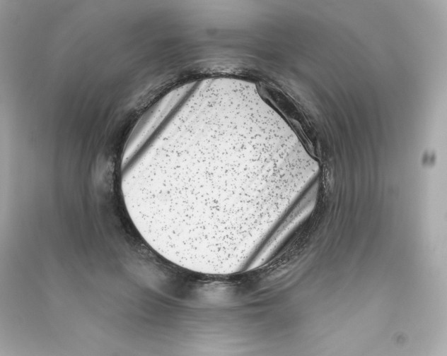 X0000090420551200708101945