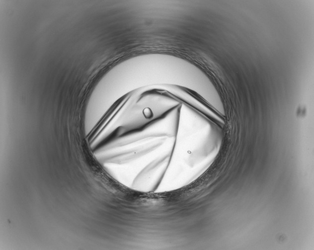 X0000090420552200708101945