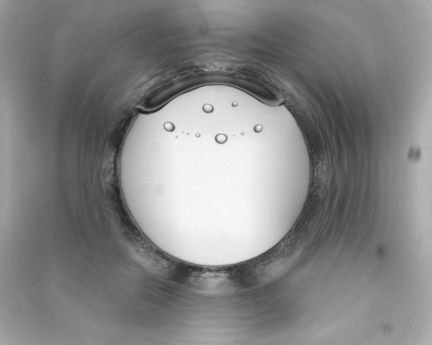 X0000090420554200708101945