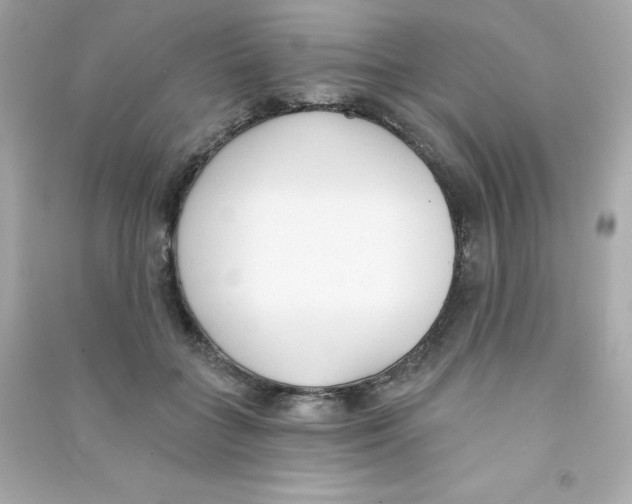 X0000090420555200708101945