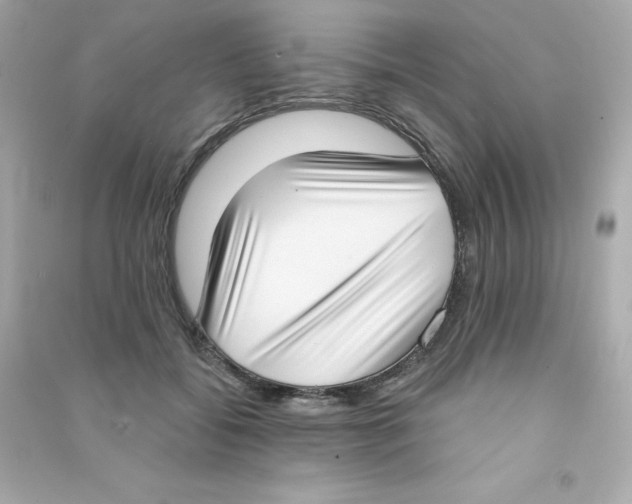 X0000090420556200708101945