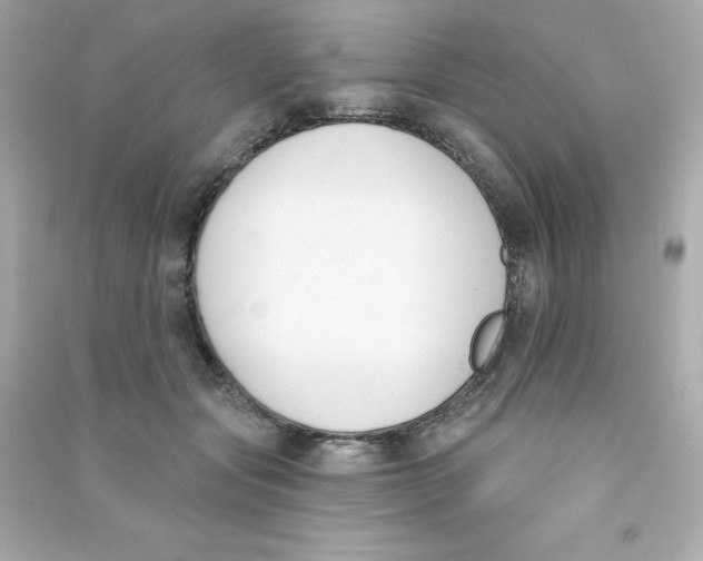 X0000090420557200708101945