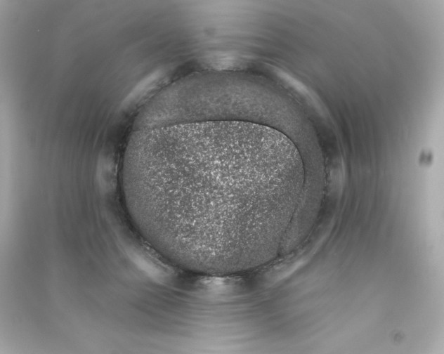 X0000090420558200708101945