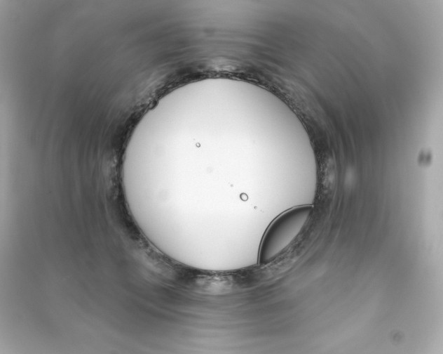 X0000090420559200708101945