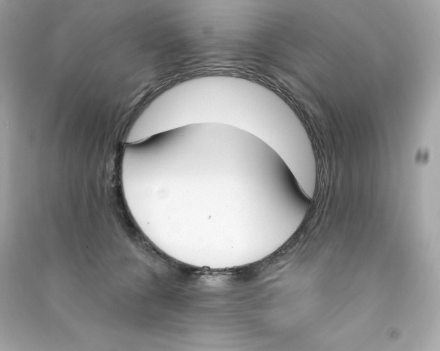 X0000090420560200708101945