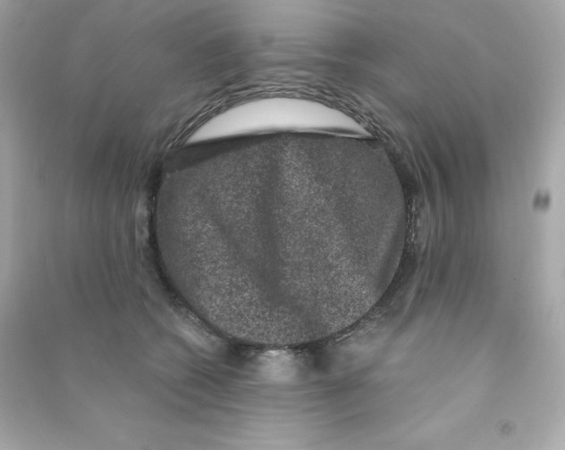 X0000090420562200708101945