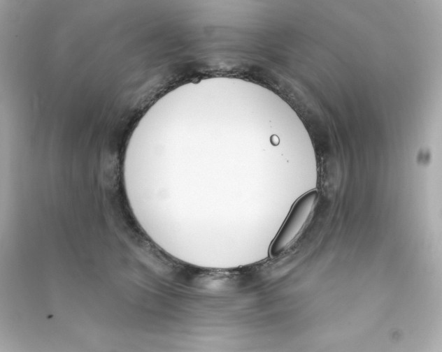 X0000090420563200708101945