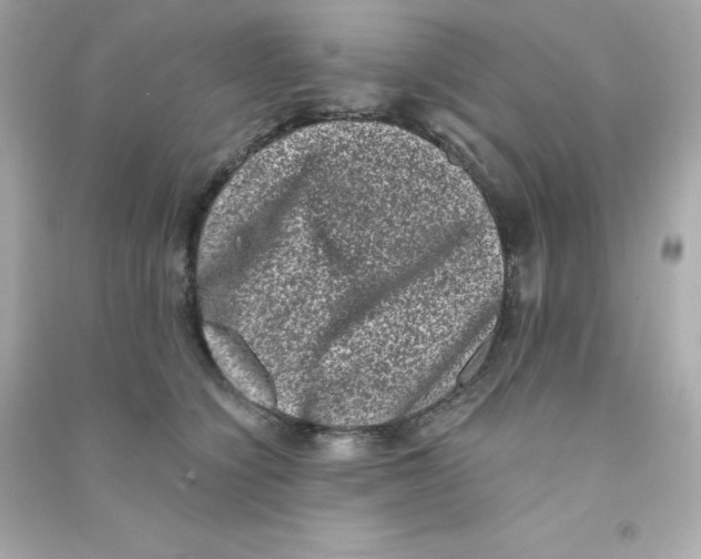 X0000090420564200708101945
