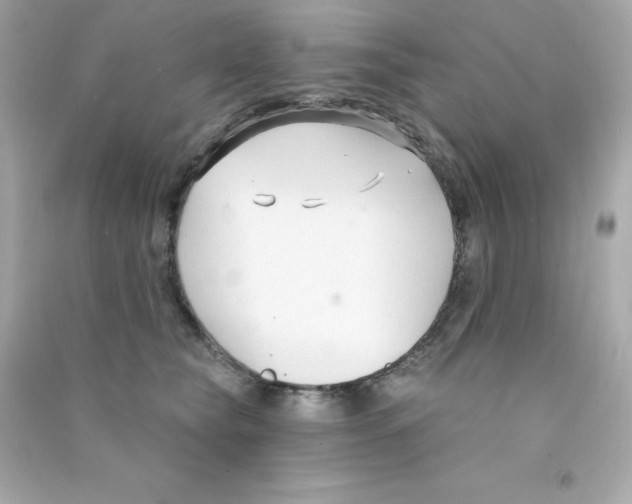 X0000090420565200708101945