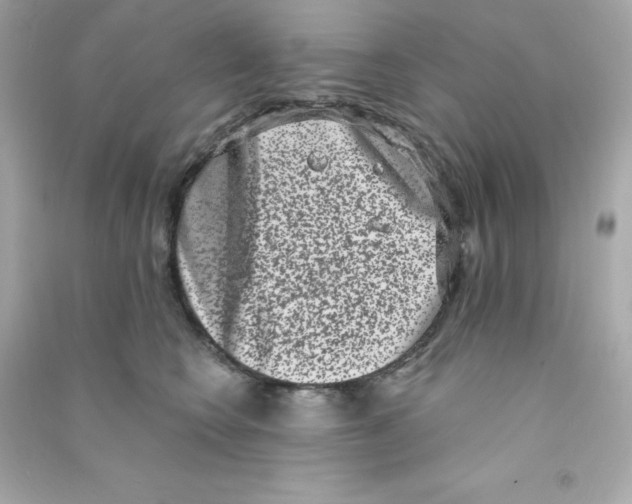 X0000090420566200708101945