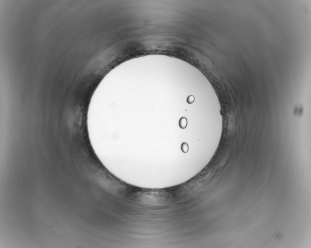 X0000090420567200708101945