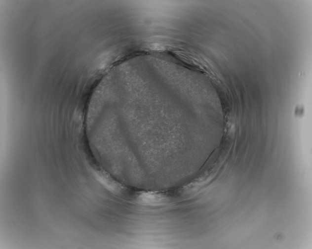 X0000090420568200708101945