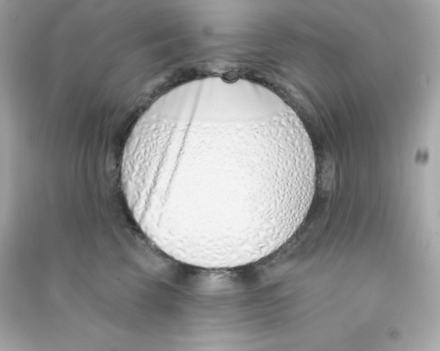 X0000090420569200708101945