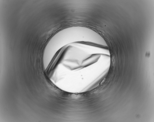 X0000090420570200708101945