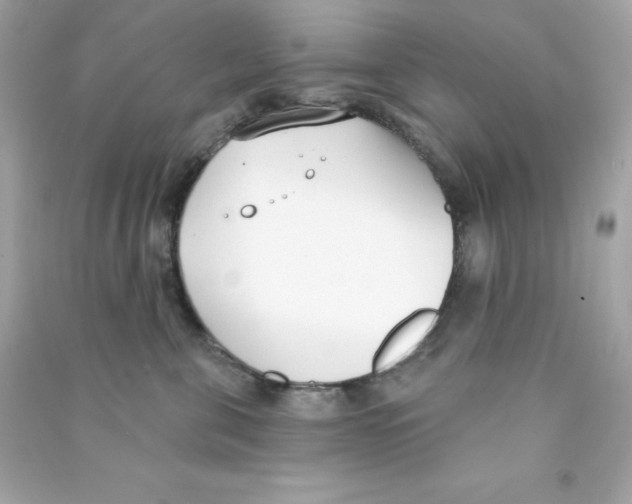 X0000090420571200708101945