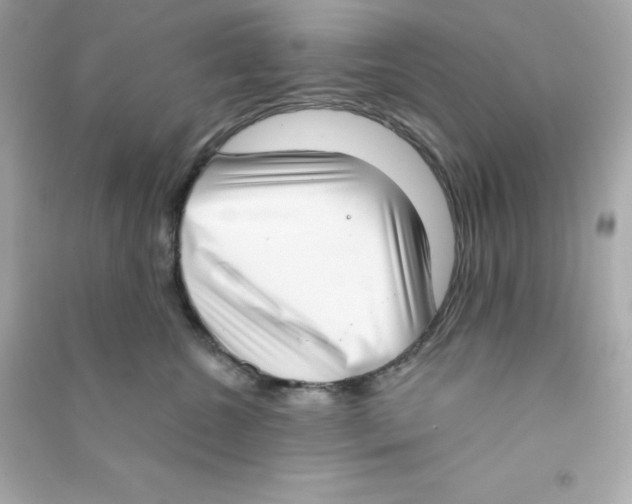 X0000090420572200708101945