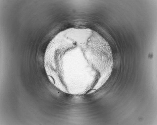 X0000090420573200708101945