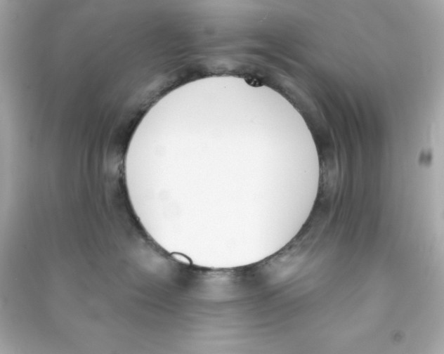 X0000090420574200708101945