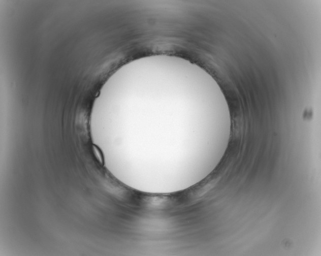 X0000090420575200708101945