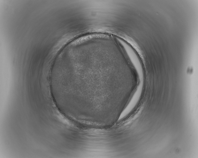 X0000090420577200708101944