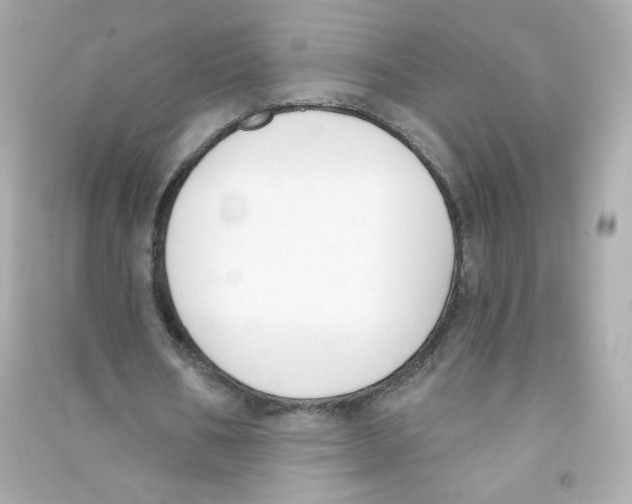 X0000090420578200708101944