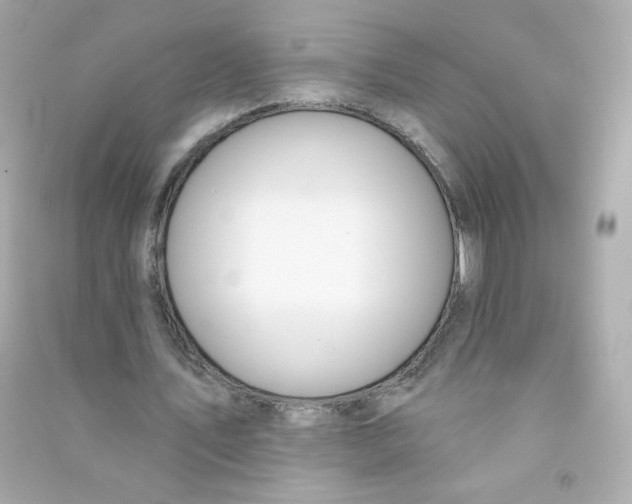 X0000090420579200708101944