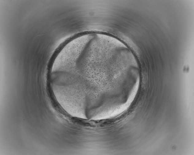 X0000090420580200708101944