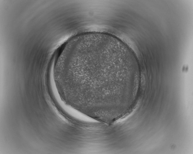 X0000090420581200708101944