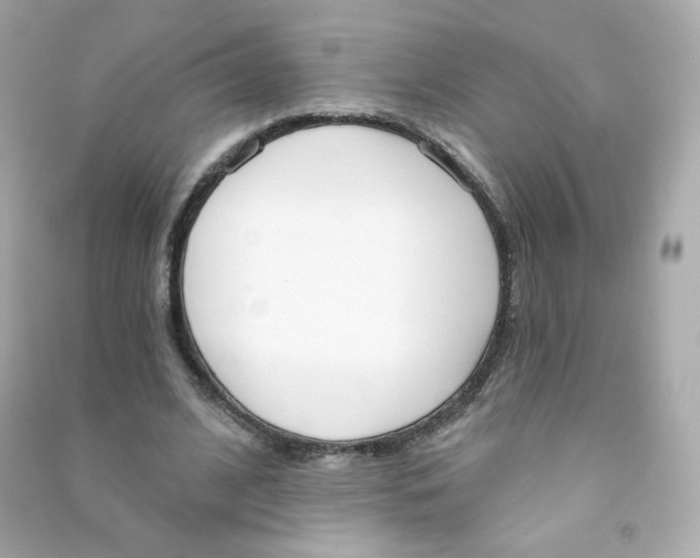 X0000090420584200708101944