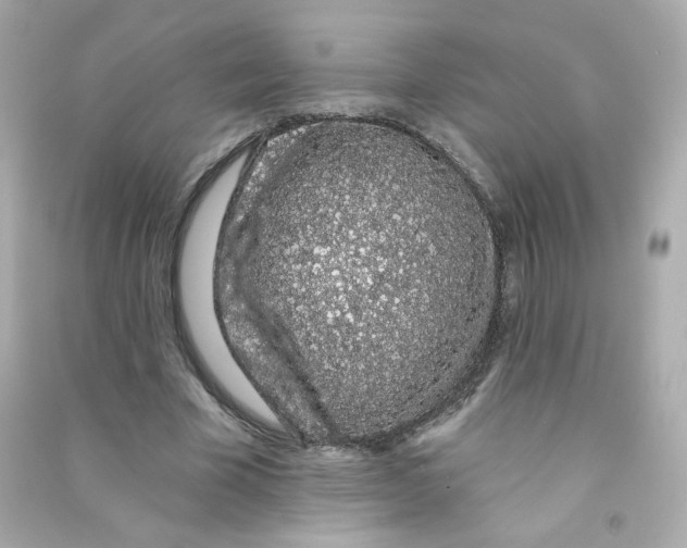 X0000090420585200708101944