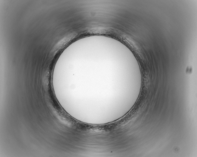 X0000090420586200708101944
