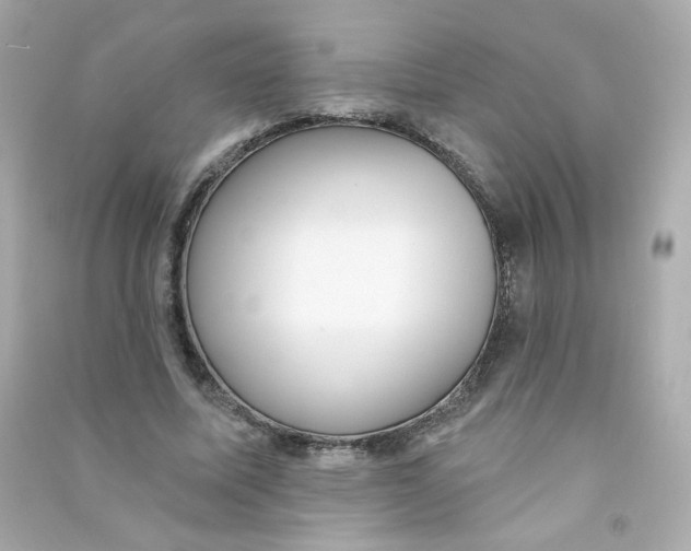 X0000090420587200708101944