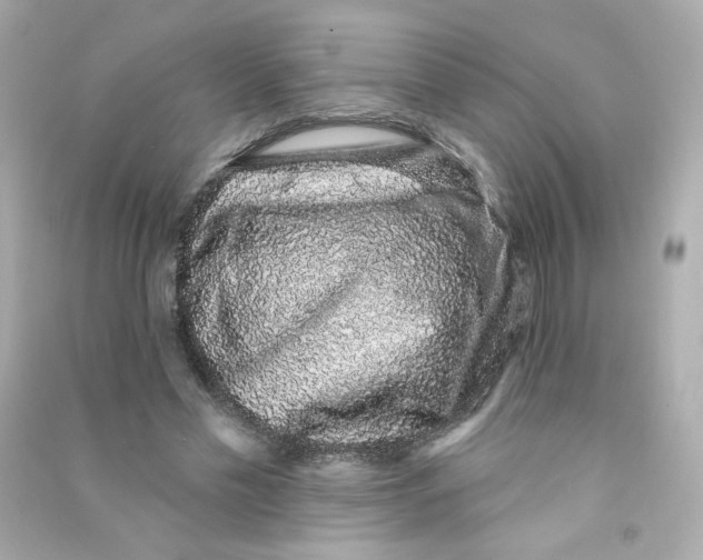 X0000090420589200708101944