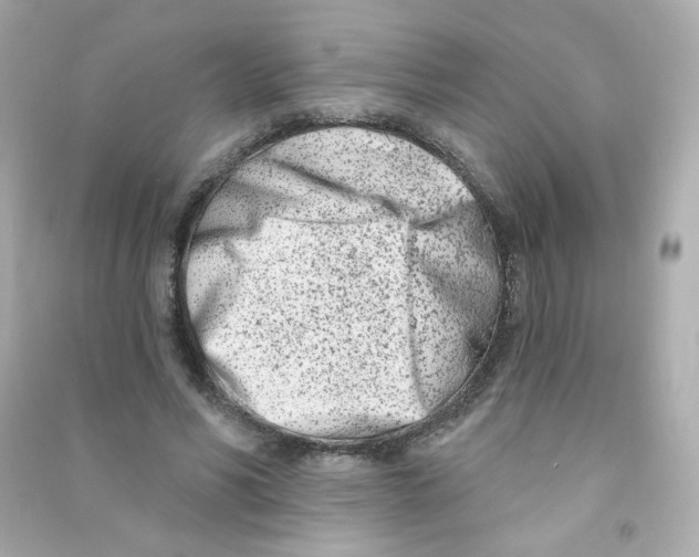 X0000090420590200708101944