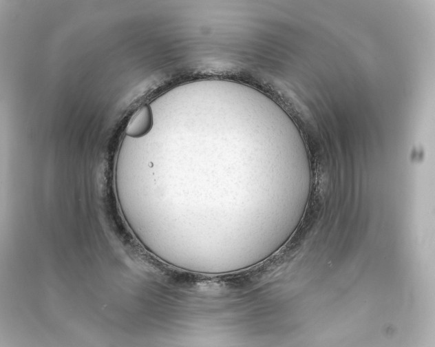 X0000090420591200708101944