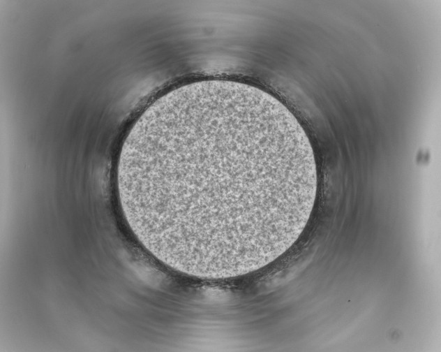 X0000090420592200708101944