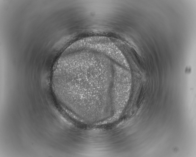 X0000090420593200708101944