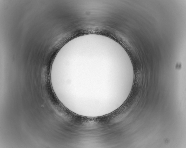 X0000090420594200708101944