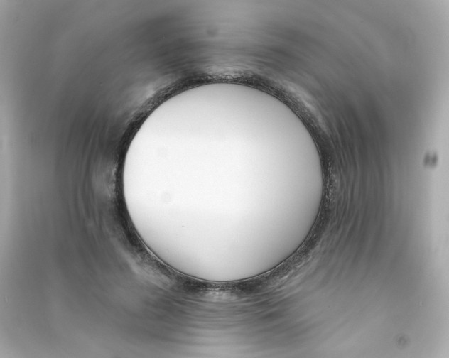 X0000090420596200708101944