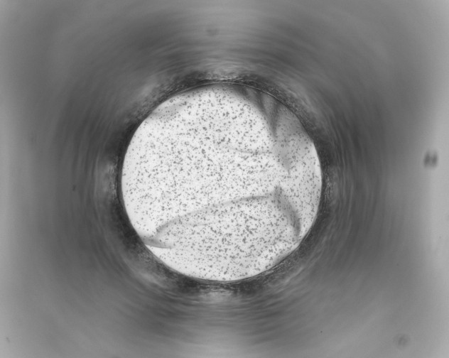 X0000090420598200708101944