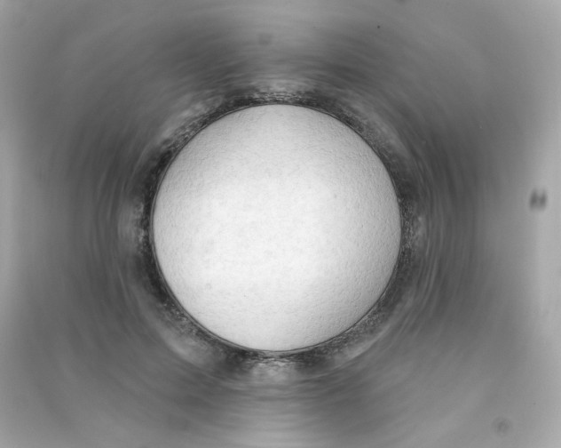 X0000090420599200708101944